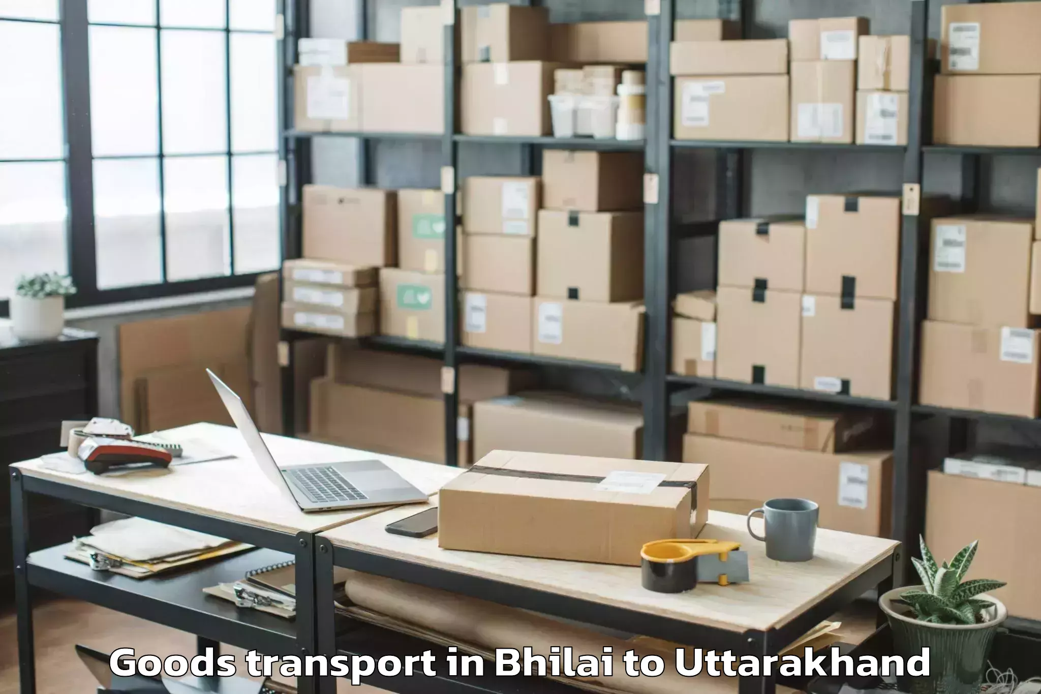 Bhilai to Sri Dev Suman Uttarakhand Univ Goods Transport